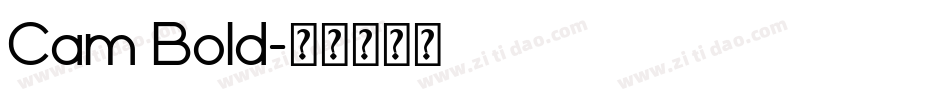 Cam Bold字体转换